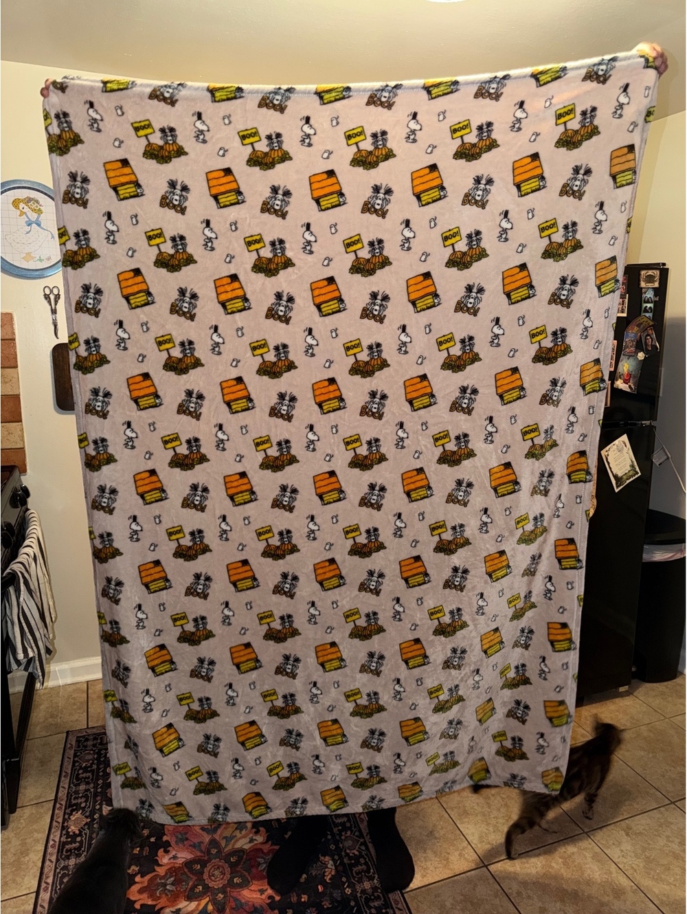 Peanuts Snoopy Berkshire Blanket
